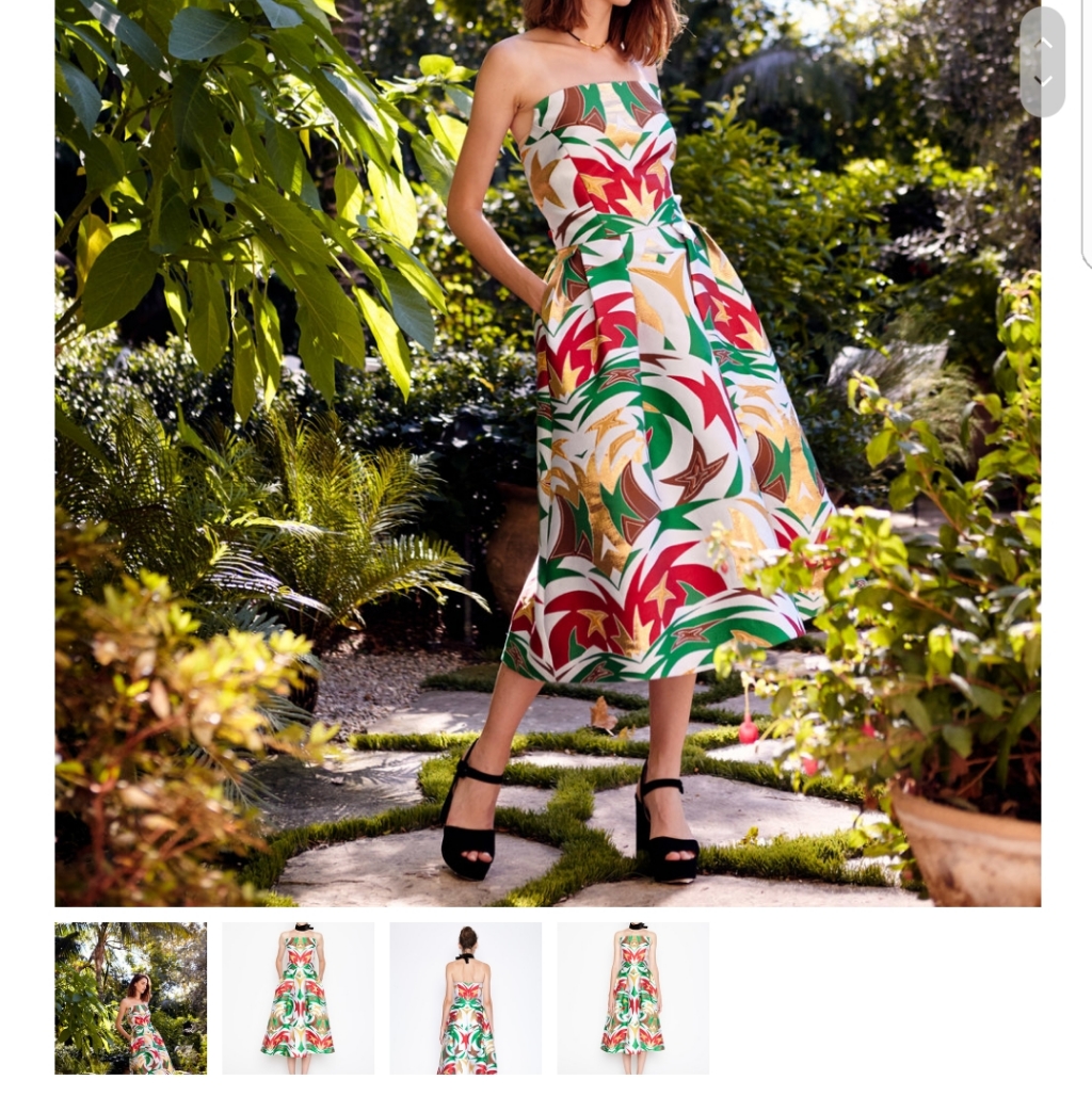 Critsmas Or Any Ocasin Beutyful Dress